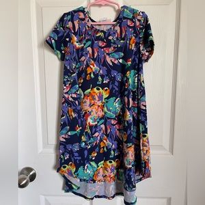 LuLaRoe Dress